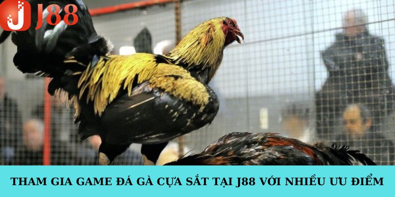 Đá gà cựa sắt là game được yêu thích hàng đầu hiện nay